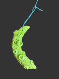 Green moon